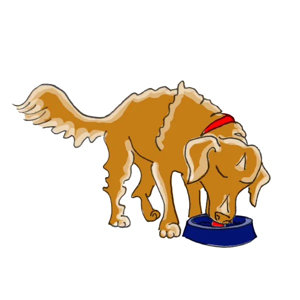Chien mangeant sa ration
