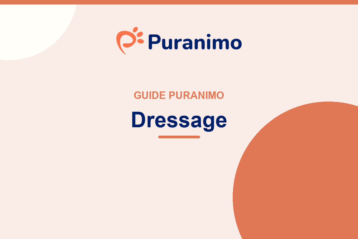 Guide Dressage Puranimo