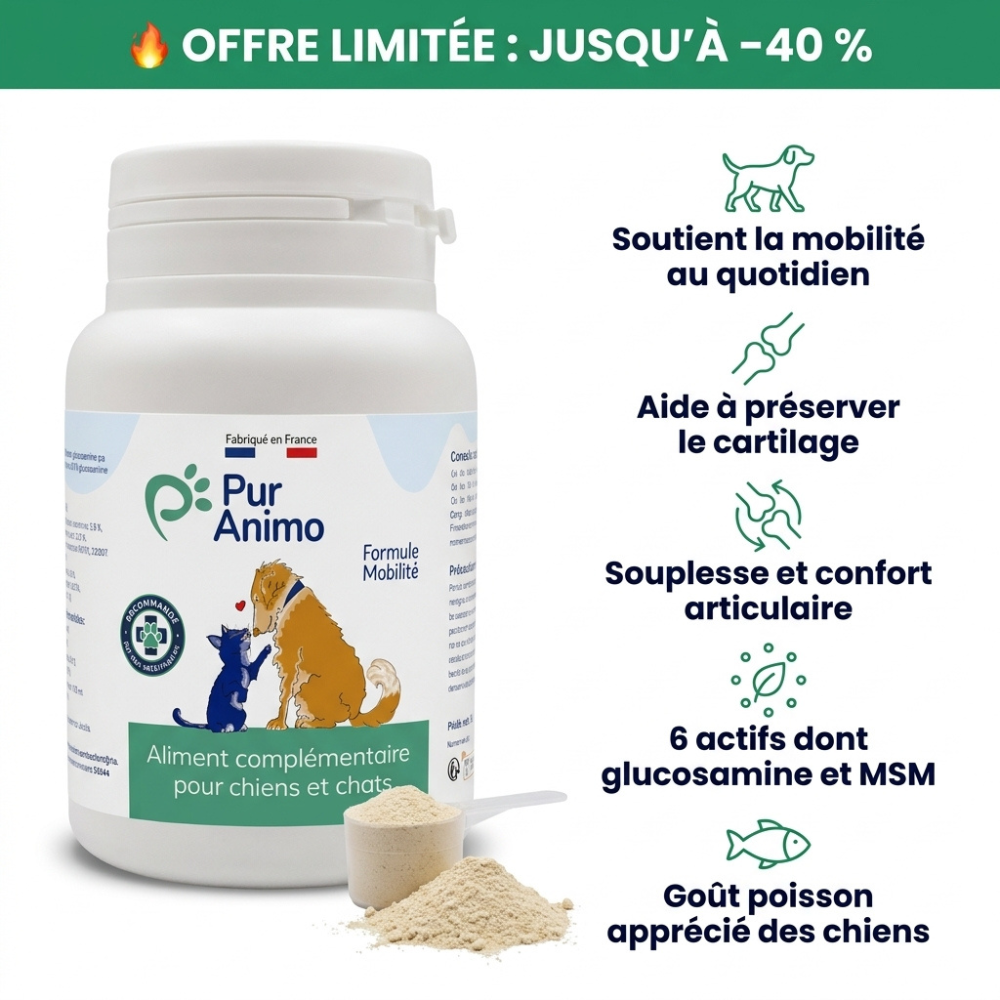 Pur Animo - Formule Mobilité (Pot)