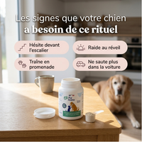 Pur Animo - Formule Mobilité Pour Chien Senior