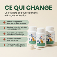Pur Animo - Formule Mobilité Pour Chien Senior