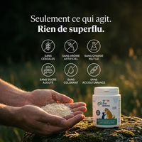 Pur Animo - Formule Mobilité Pour Chien Senior