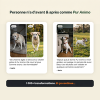 Pur Animo - Formule Mobilité Pour Chien Senior