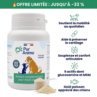 Pur Animo - Formule Mobilité Pour Chien Senior