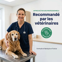 Pur Animo - Formule Mobilité Pour Chien Senior