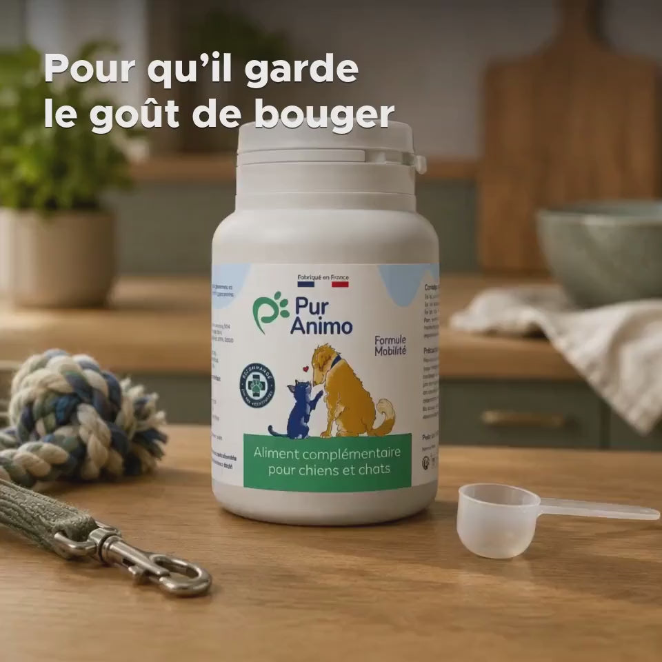 Pur Animo Formule Mobilité — le pot 50 g au quotidien : composition, dosage à la cuillère doseuse, chien en mouvement