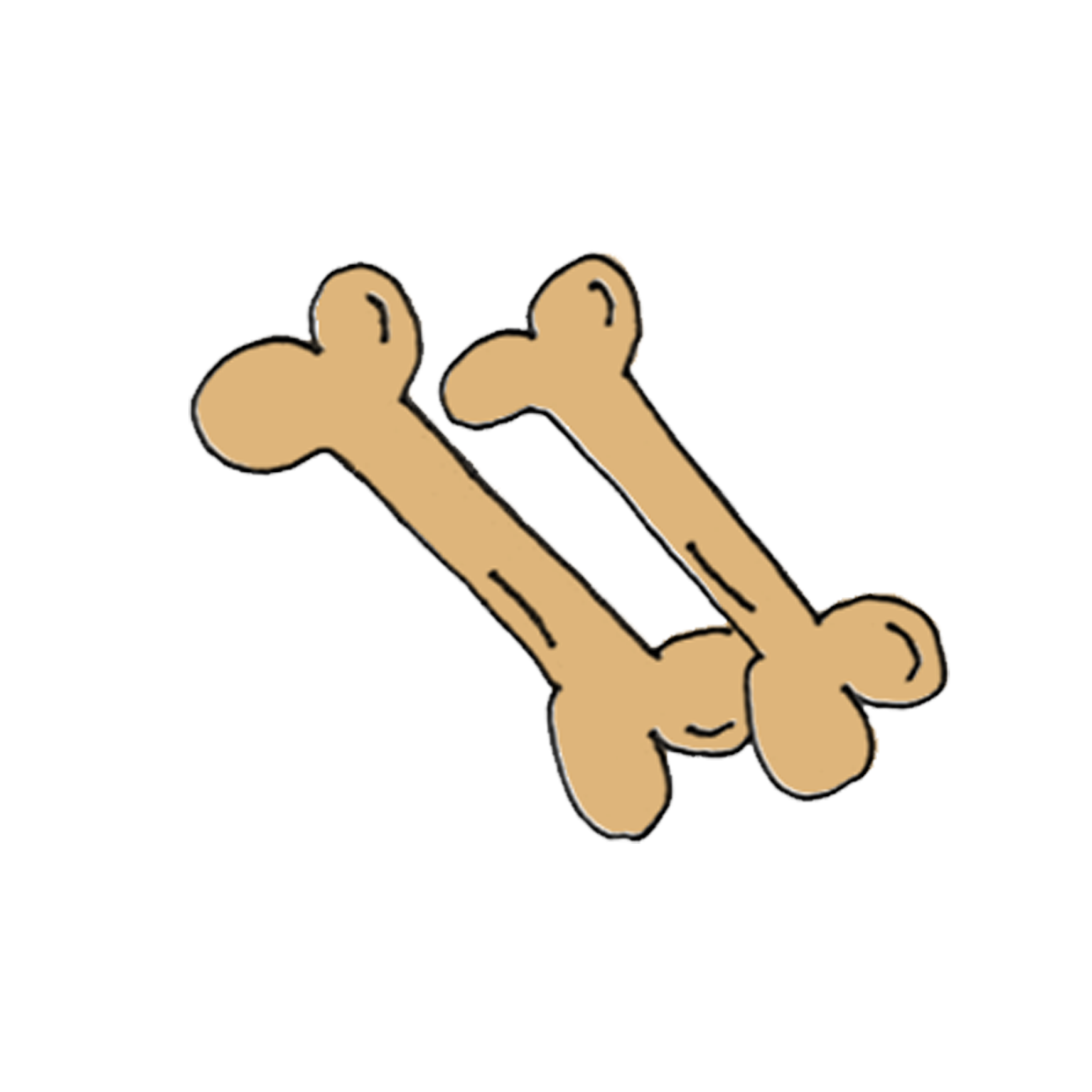 Illustration d’os